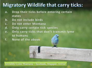 migratory spp quiz