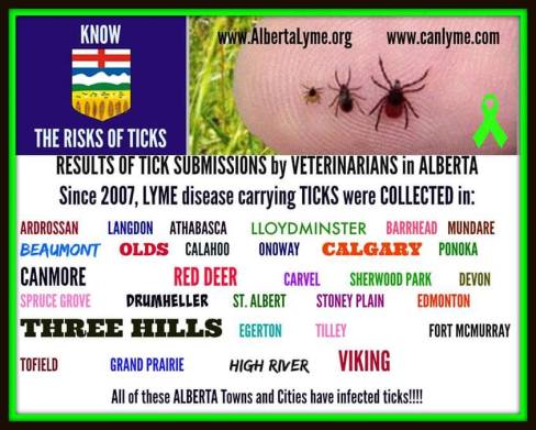 11116536_10153331734923566_3222718756832537983_n