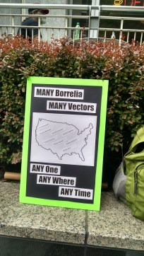 IMG_20150430_132605520_HDR