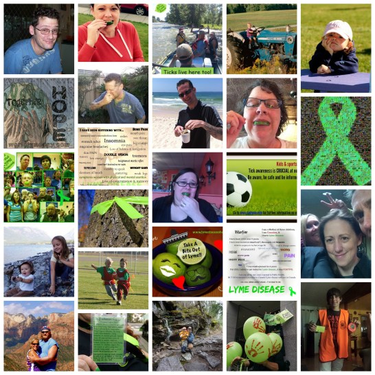 PicMonkey Collage mixed types