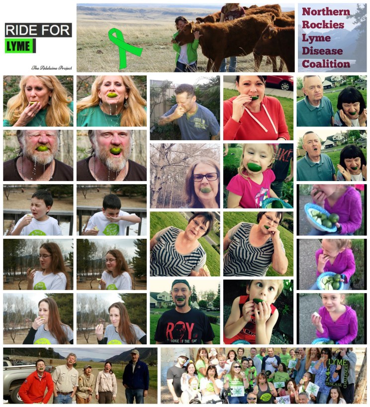 PicMonkey Collage ride for lyme challenge