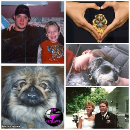 PicMonkey Collage sherry